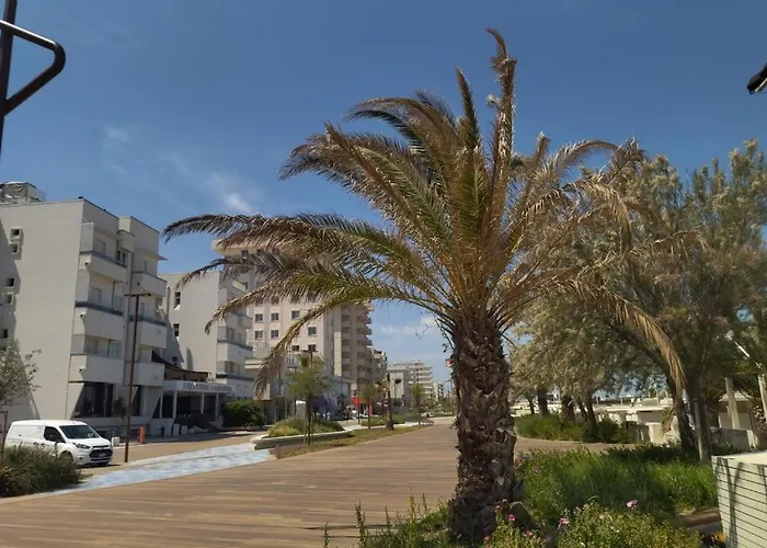 Executive La Fiorita